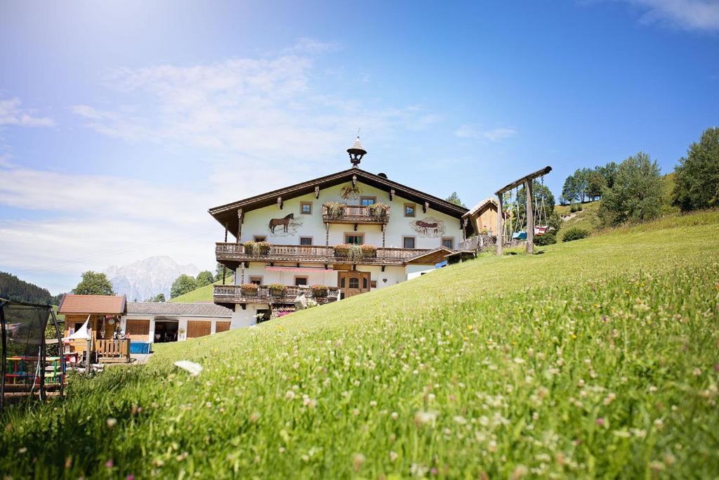 Farm stay Lohningbauer *