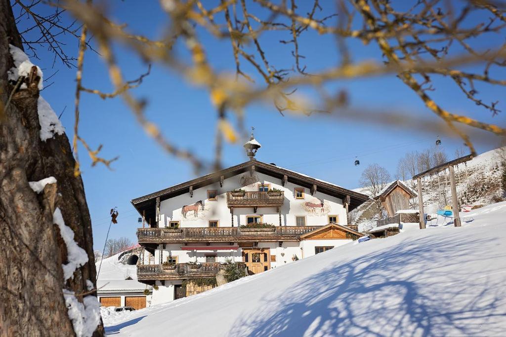 Lohningbauer Farm stay *